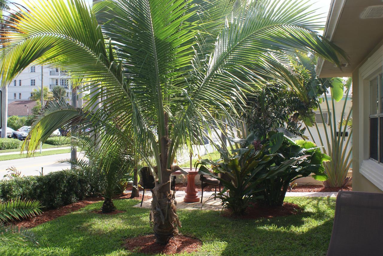 Atlantic Shores Vacation Villas Palm Beach Shores Exterior photo